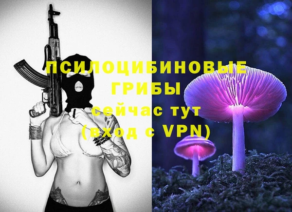 ПСИЛОЦИБИНОВЫЕ ГРИБЫ Алексин