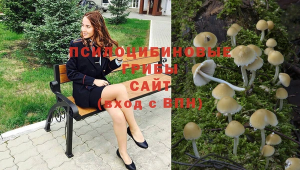 ПСИЛОЦИБИНОВЫЕ ГРИБЫ Алексин