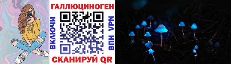 Галлюциногенные грибы GOLDEN TEACHER  где купить наркоту  Махачкала 