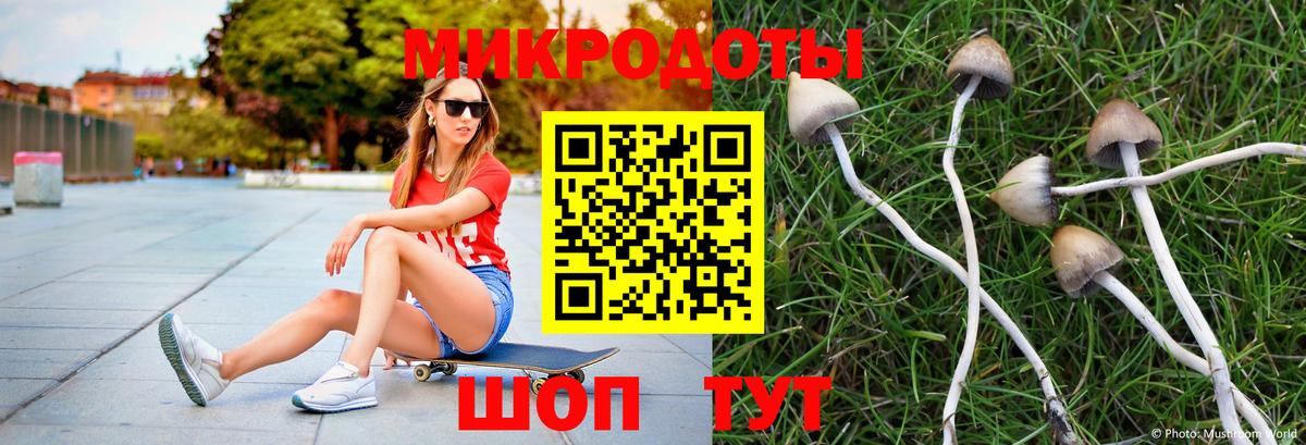Махачкала  Галлюциногенные грибы Psilocybe  Вход с VPN 