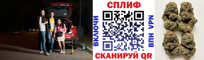 как найти закладки  Махачкала  Бошки Шишки Ganja 